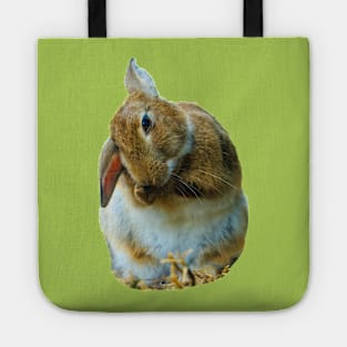 Wash and Brush up Rabbit Tote