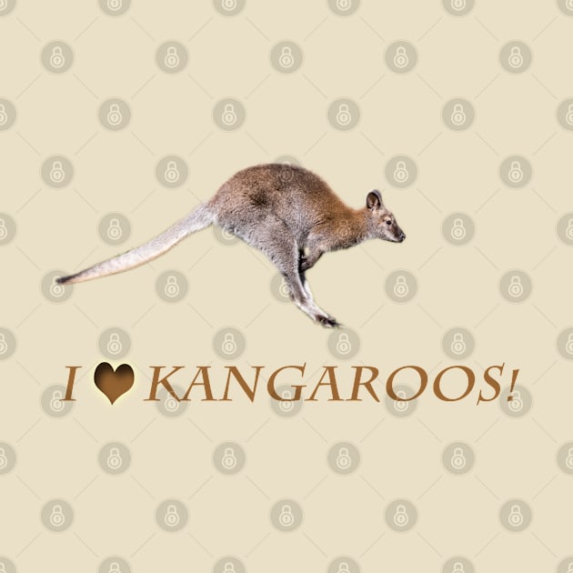 Kangaroo by Naturelovers