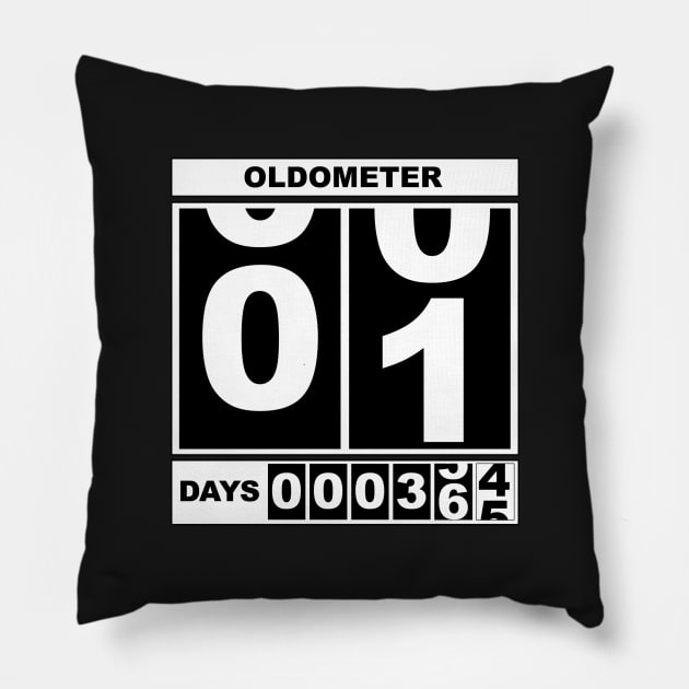 1st Birthday Oldometer Pillow by mikepod