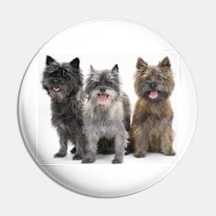 Three Cairn Terriers Pin