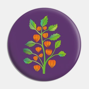 Physalis vector Pin