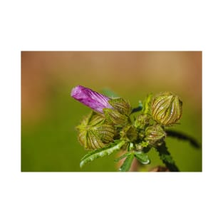 Pink Hibiscus Bud And Buds T-Shirt