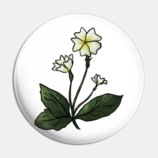 Primrose Pin