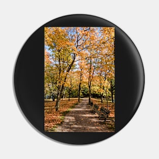 Autumn in Stockholm Pin