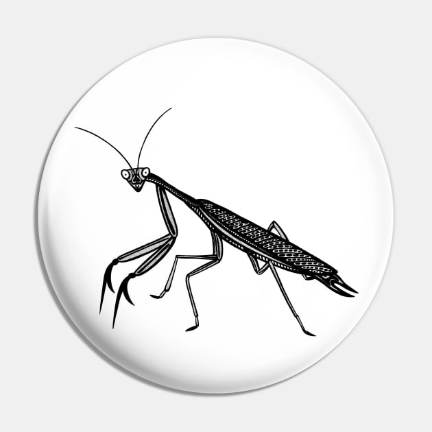 Praying Mantis Ink Art - cool insect design - on white Pin by Green Paladin