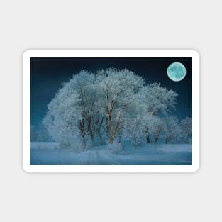 Magical Winter Night Magnet