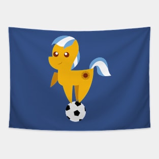 Argentina Football Pony Tapestry