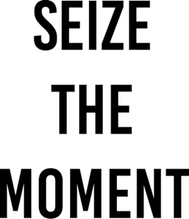 seize the moment Magnet