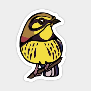 Prairie Warbler Graphic Magnet