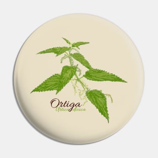 Green nettle in bloom Pin