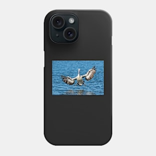 Splashdown Imminent: Pelican, Caloundra Phone Case