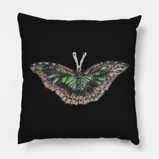 Entomology Pillow