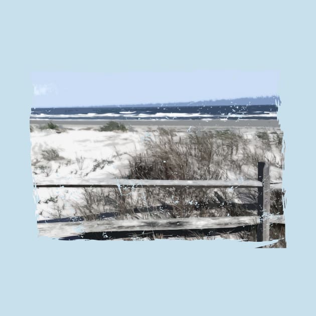 Lispe Beach Dune with Split Rail Fence by Lispe