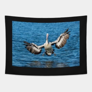 Splashdown Imminent: Pelican, Caloundra Tapestry