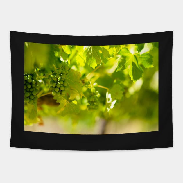 Grapevine Tapestry by jswolfphoto