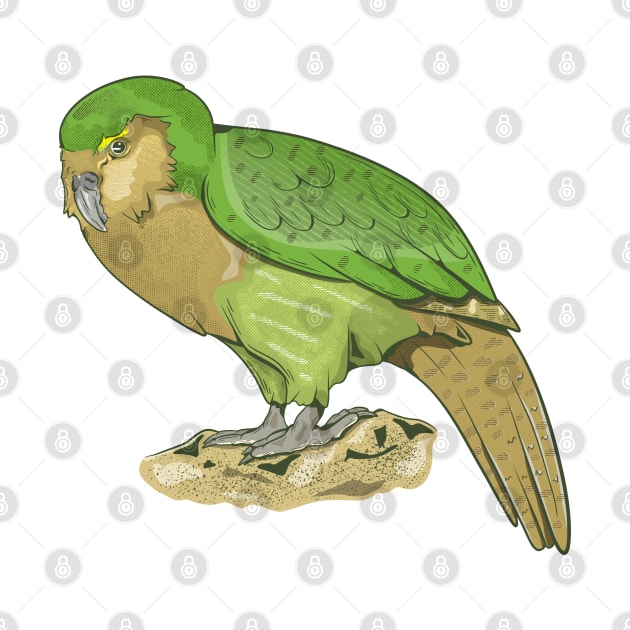 Kakapo by mailboxdisco