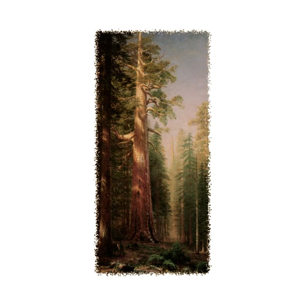 Redwood Trees by Albert Bierstadt by MasterpieceCafe