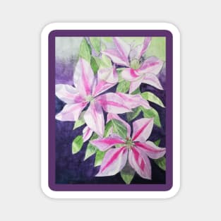 Pink purple clematis watercolour painting Magnet