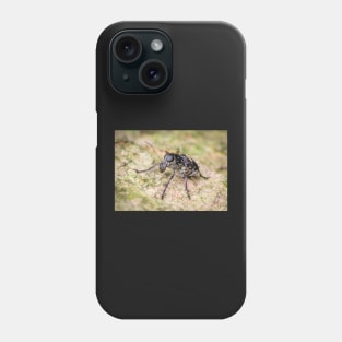 A fungus weevil (Anthribidae) Phone Case