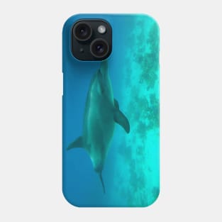 Dolphin Underwater Phone Case