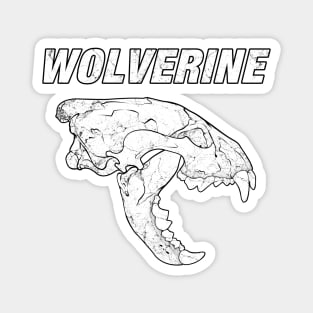 Wolverine bone skull Magnet