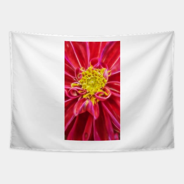 closeup macro photography of bright red dahlia bloom with pollen filled yellow center Tapestry by mister-john