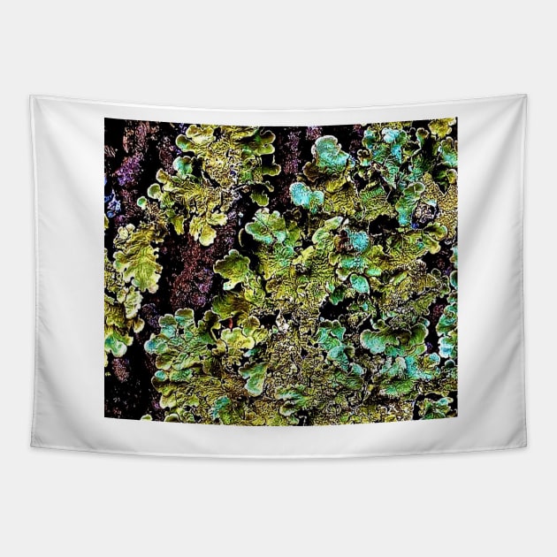 Lichen textures Tapestry by Dillyzip1202