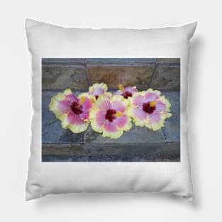 Beautiful Quints Pillow