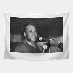 James Cotton BW Photograph Tapestry