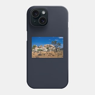 Formations  Joshus Tree Phone Case