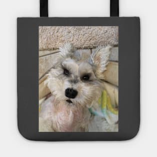 FLYING SCHNAUZER Tote