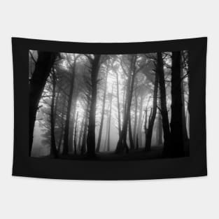 Misty forest on Killiney Hill Tapestry