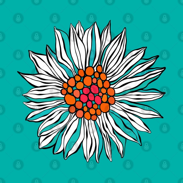 White Teal Orange Red Daisy Flower by CatyArte