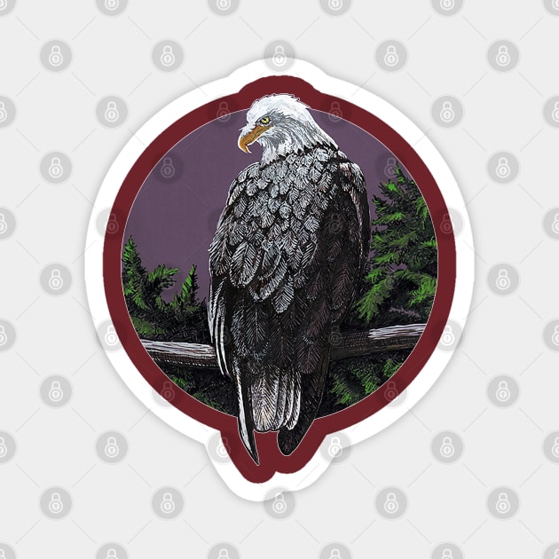 Bald eagle looking over shoulder Magnet by tsd-fashion