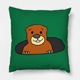 Gopher Cartoon Pillow