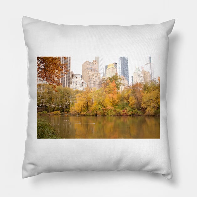 Autumn in Central Park Pillow by wlotus