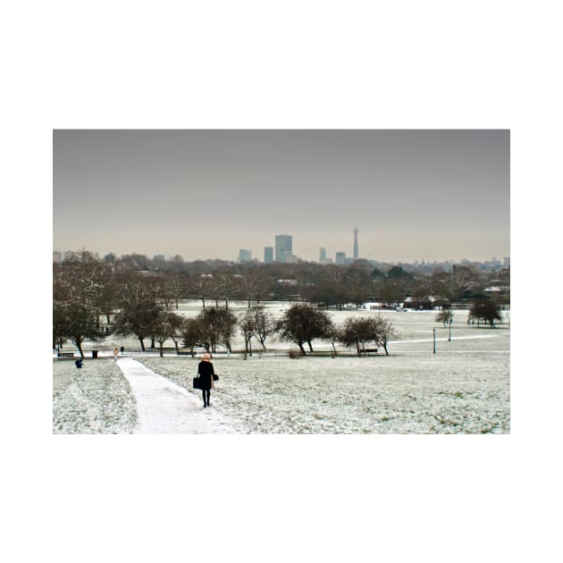 London Skyline Cityscape Primrose Hill by AndyEvansPhotos