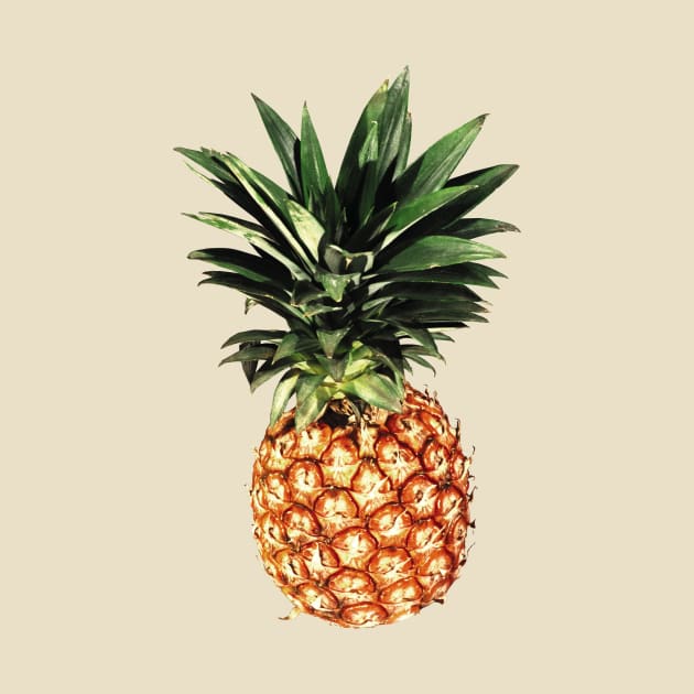 pinapple by Riviera