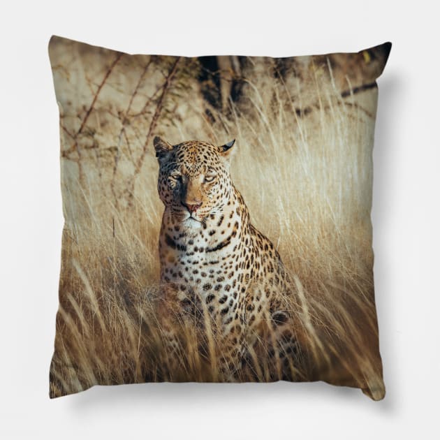 African Leopard 2 Pillow by withluke