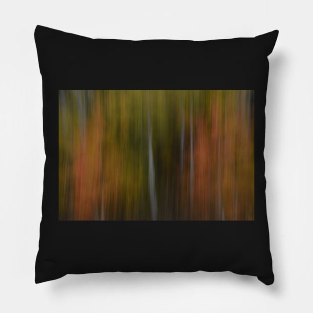 Forest Illusions- Dance of Autumn Pillow by Whisperingpeaks