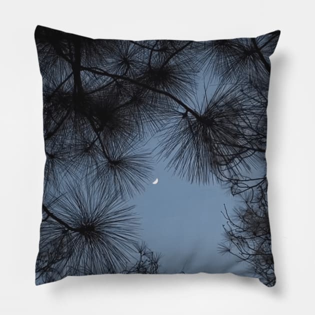 Bright moon shining through lush tree at night Pillow by DREAMBIGSHIRTS