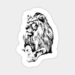 Wildlife Lion Magnet