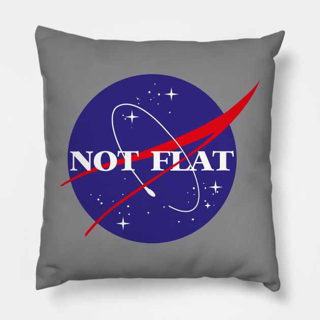 NASA not flat Pillow by Dystopianpalace