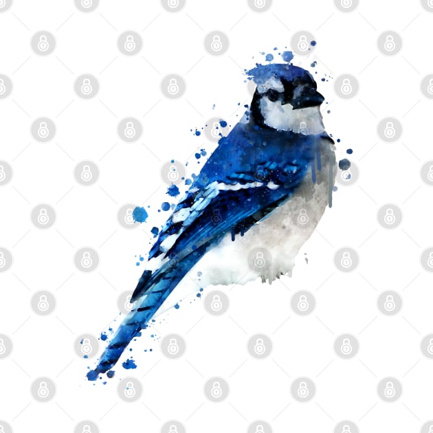 Dramabite Watercolor blue jay bird artistic animal painting by dramabite