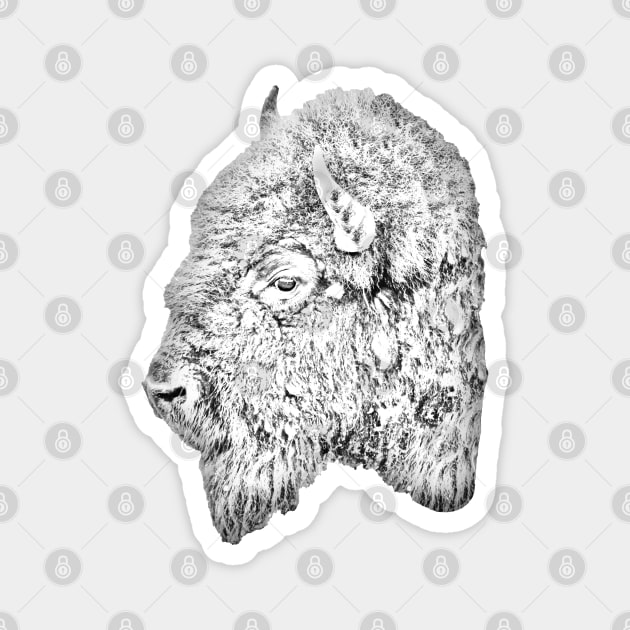 American Bison Magnet by dalyndigaital2@gmail.com