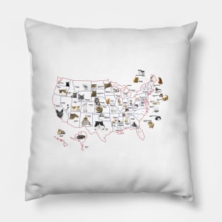 United States Cat Map Patriotic Colors Pillow