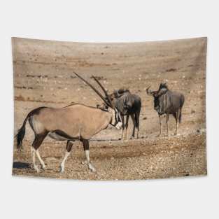 Namibia. Etosha National Park. Oryx and Wildebeest. Tapestry