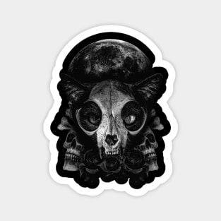 Skull Cat Magnet