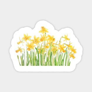 yellow daffodils painting Magnet