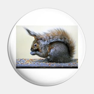 Squirrel's hat... Pin